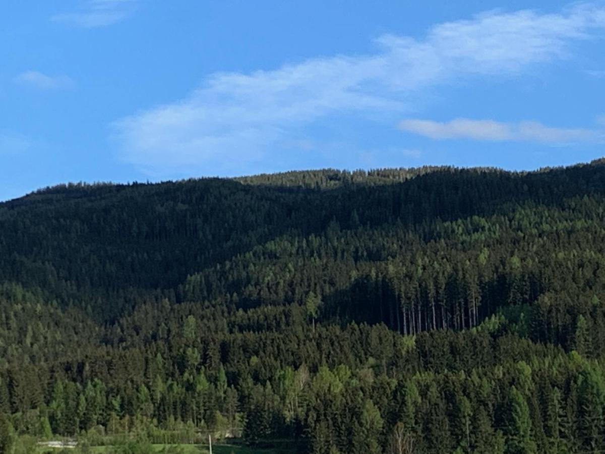 Landgasthof Zur Post Hotel Mitterdorf im Murztal Luaran gambar